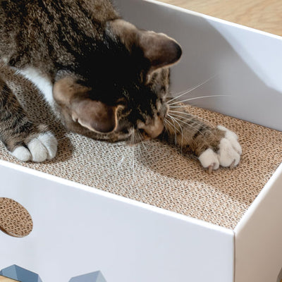 Cat Scratcher Box