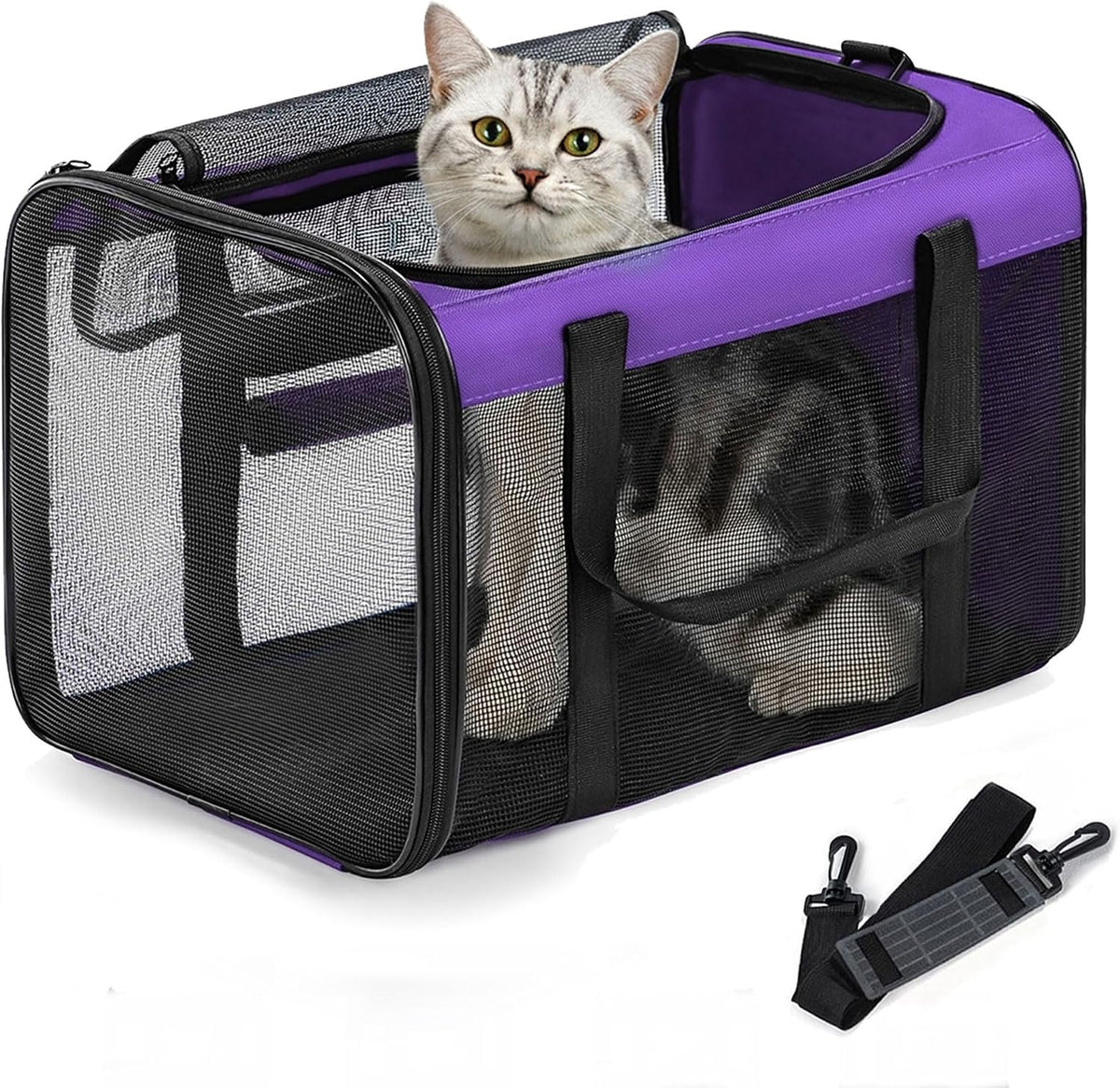 Classic Mesh Pet Carrier