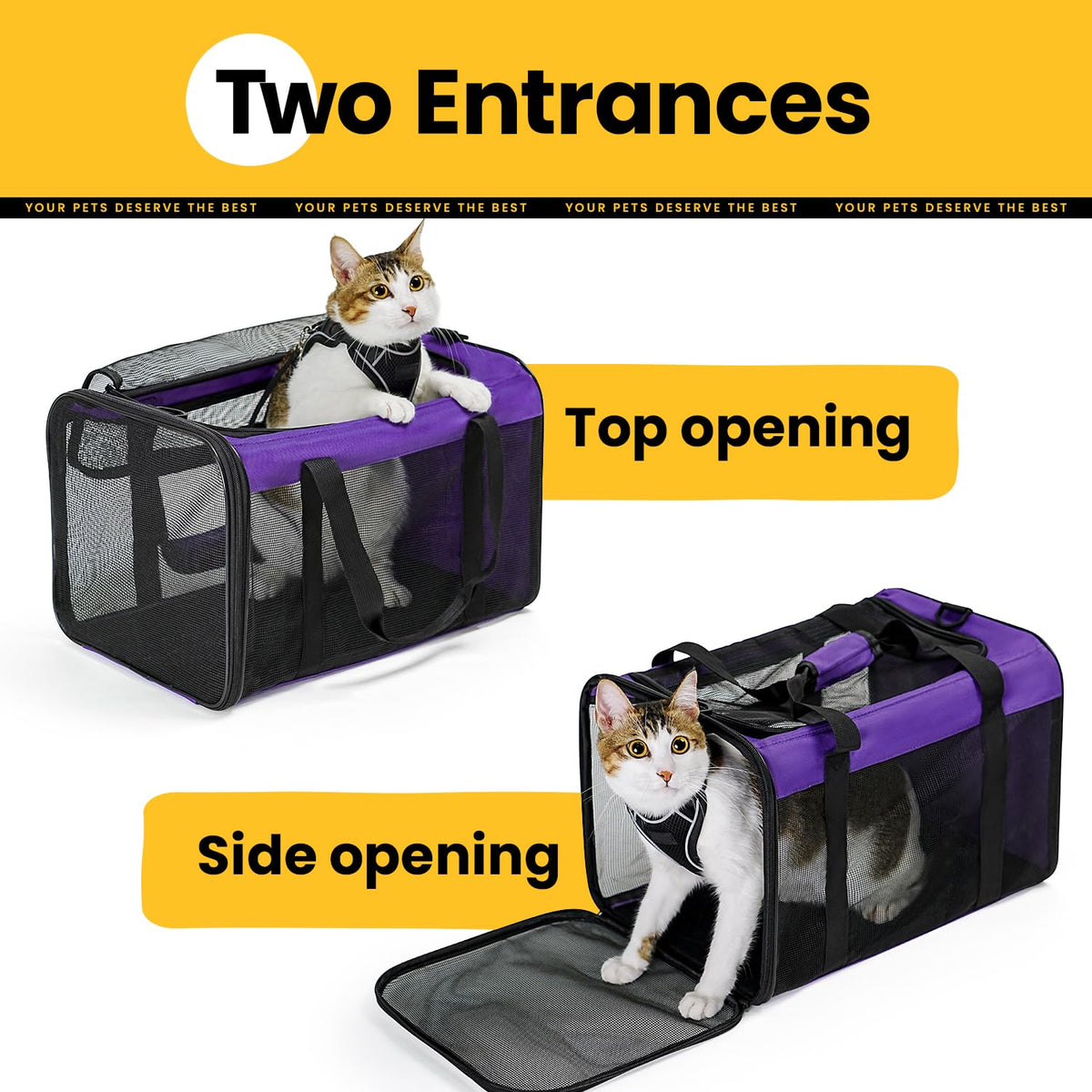 Classic Mesh Pet Carrier