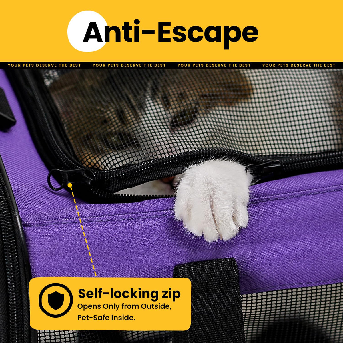 Classic Mesh Pet Carrier