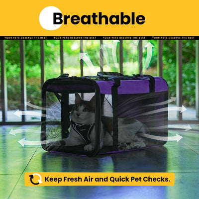 Classic Mesh Pet Carrier