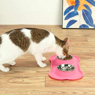 Silicone Pet Feeding Mat with Stainless Steel Bowls