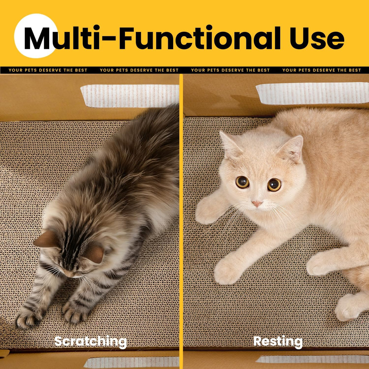 Long Cardboard Cat Scratcher House