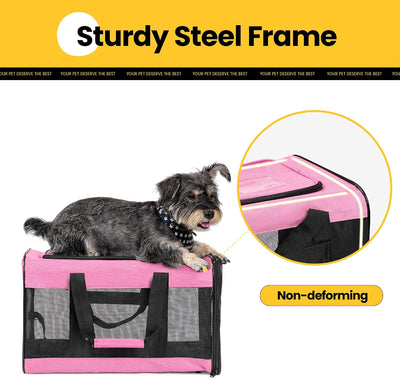 Soft-Sided Mesh Pet Carrier