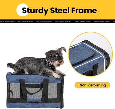 Soft-Sided Mesh Pet Carrier