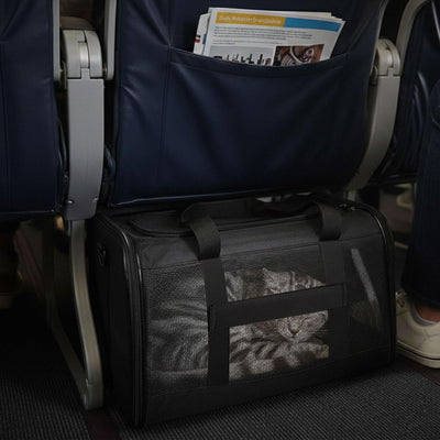 Soft-Sided Mesh Pet Carrier
