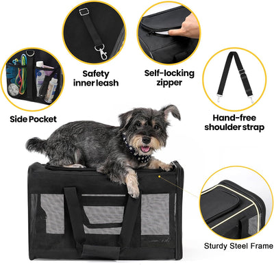 Soft-Sided Mesh Pet Carrier