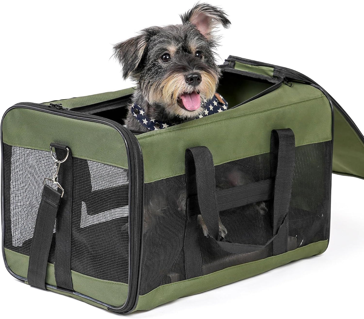 Soft-Sided Mesh Pet Carrier
