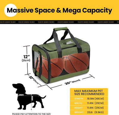 Soft-Sided Mesh Pet Carrier