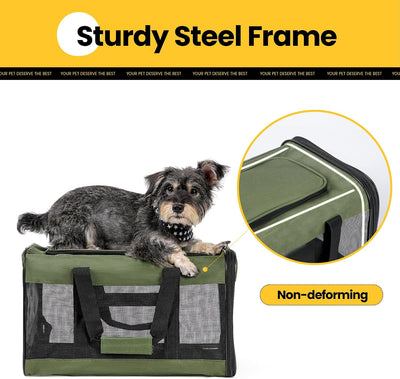 Soft-Sided Mesh Pet Carrier