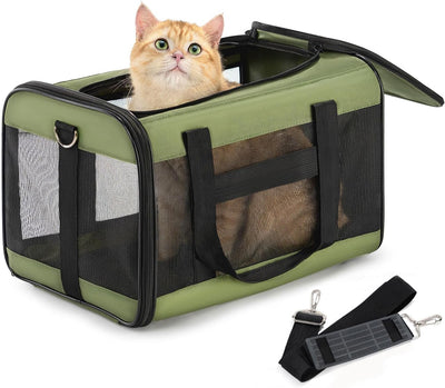 Soft-Sided Mesh Pet Carrier