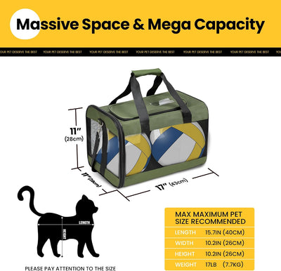 Soft-Sided Mesh Pet Carrier