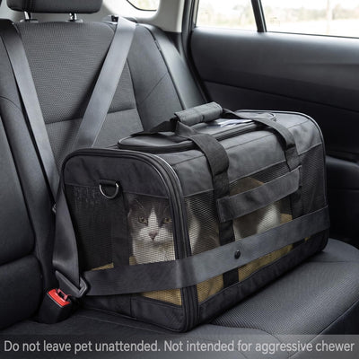 Soft-Sided Mesh Pet Carrier
