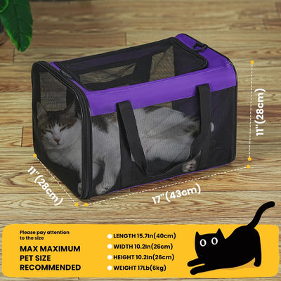 Classic Mesh Pet Carrier