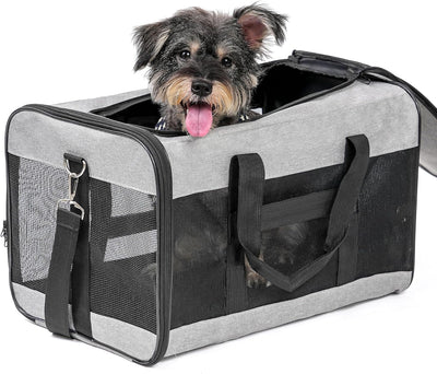 Soft-Sided Mesh Pet Carrier