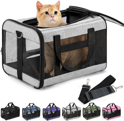 Soft-Sided Mesh Pet Carrier