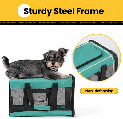 Soft-Sided Mesh Pet Carrier
