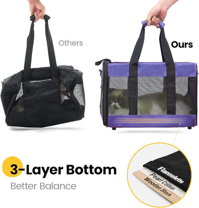 Soft-Sided Mesh Pet Carrier