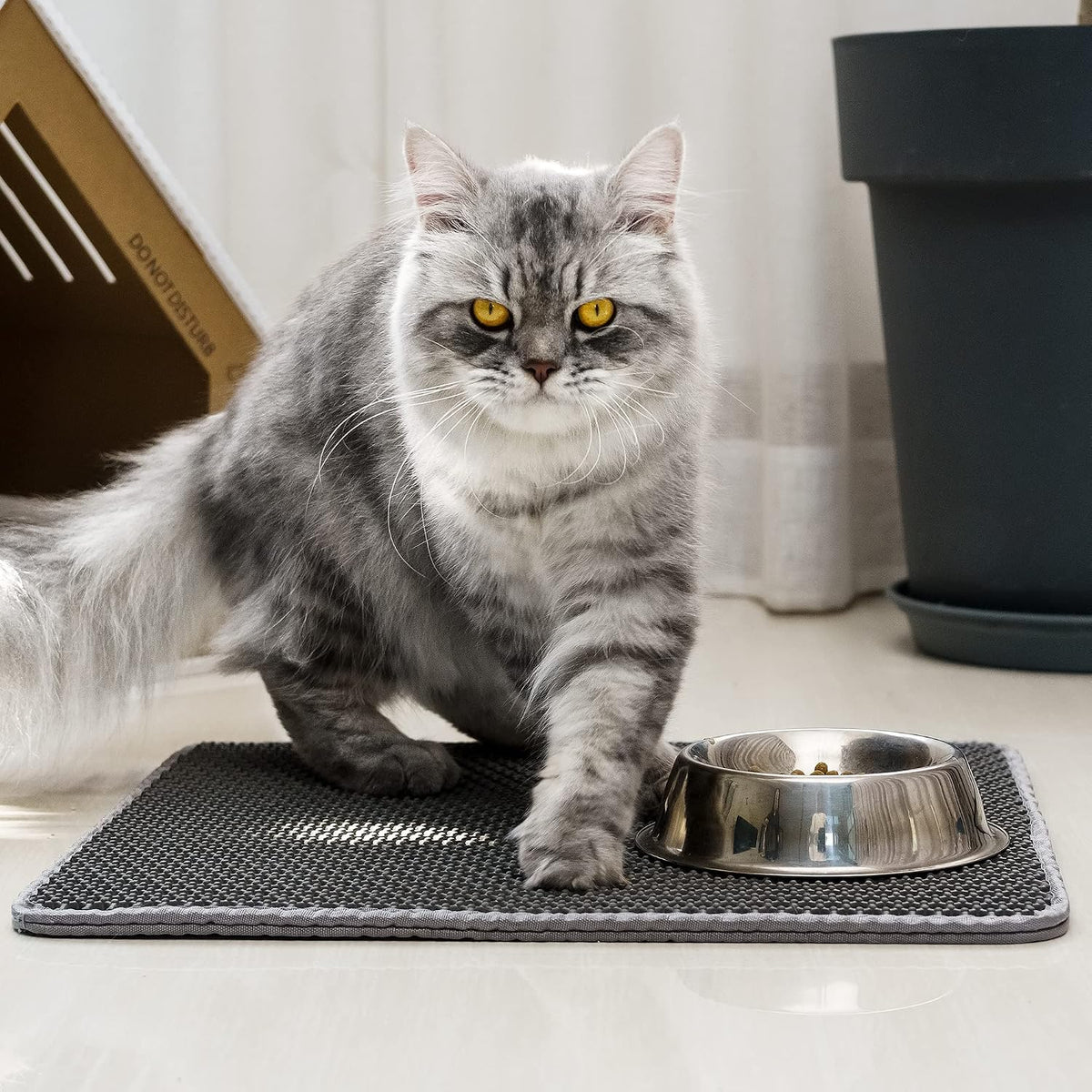 EVA Double-Layer Cat Litter Mat