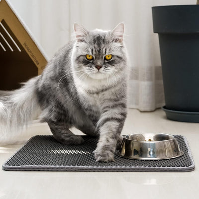 EVA Double-Layer Cat Litter Mat